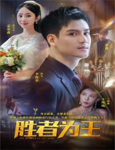 第28届中国电视金鹰奖