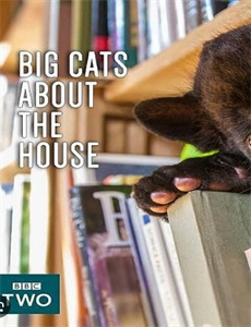 家族中经常发生绑架事件