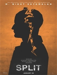 性感巾帼英雄改变历史